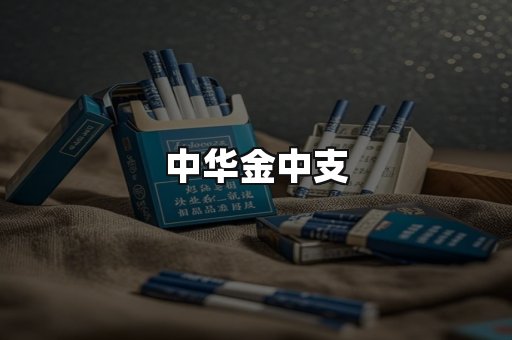 中华金中支